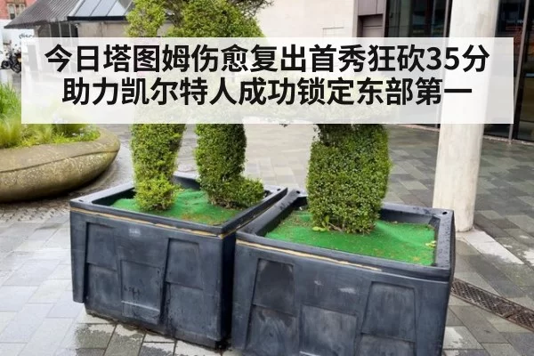 今日塔图姆伤愈复出首秀狂砍35分助力凯尔特人成功锁定东部第一